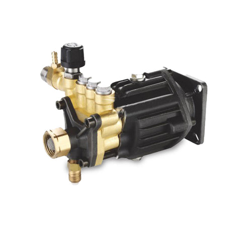 raptor-rgpwdaa-15063a-2800psi-11-3lpm-6-5hp-high-pressure-axial-pump-suits-rgpw2800.jpg